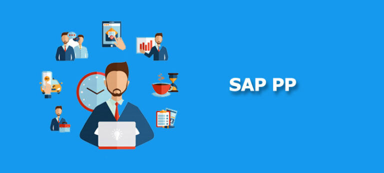 SAP PP
